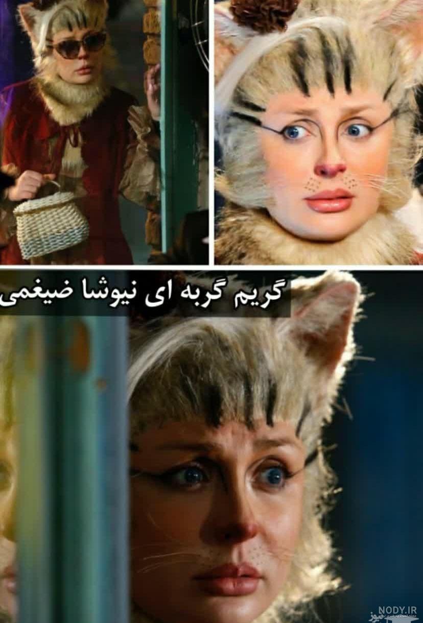 عکس گربه عمو پورنگ