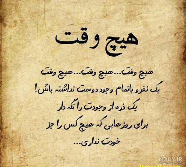 عکس رز آبی زیبا