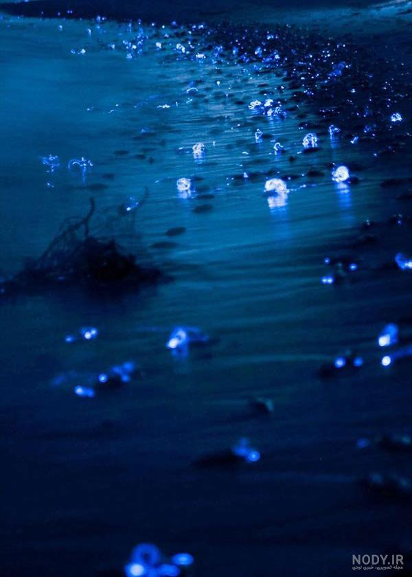 عکس شب نمایی عکس شب نمایی