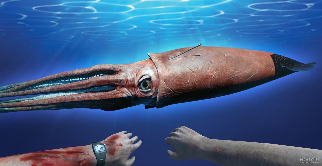 عکس ماهی مرکب ترسناک