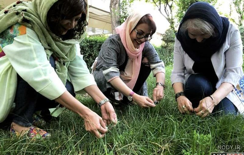 پوستر سیزده بدر پوستر سیزده بدر