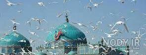 راز کبوتران مزار شریف راز کبوتران مزار شریف