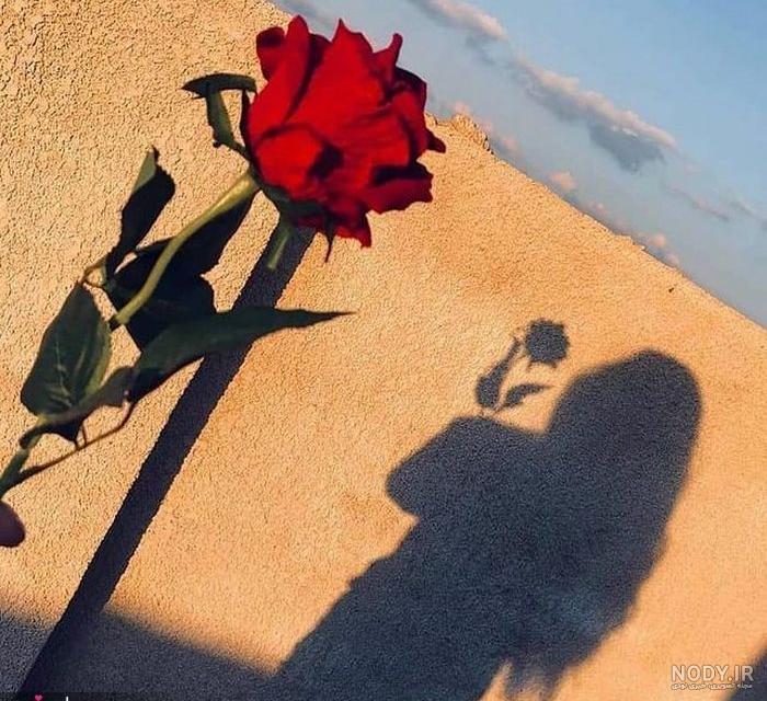 عکسهای زیبا برای پروفایل واتساپ جدیدترین