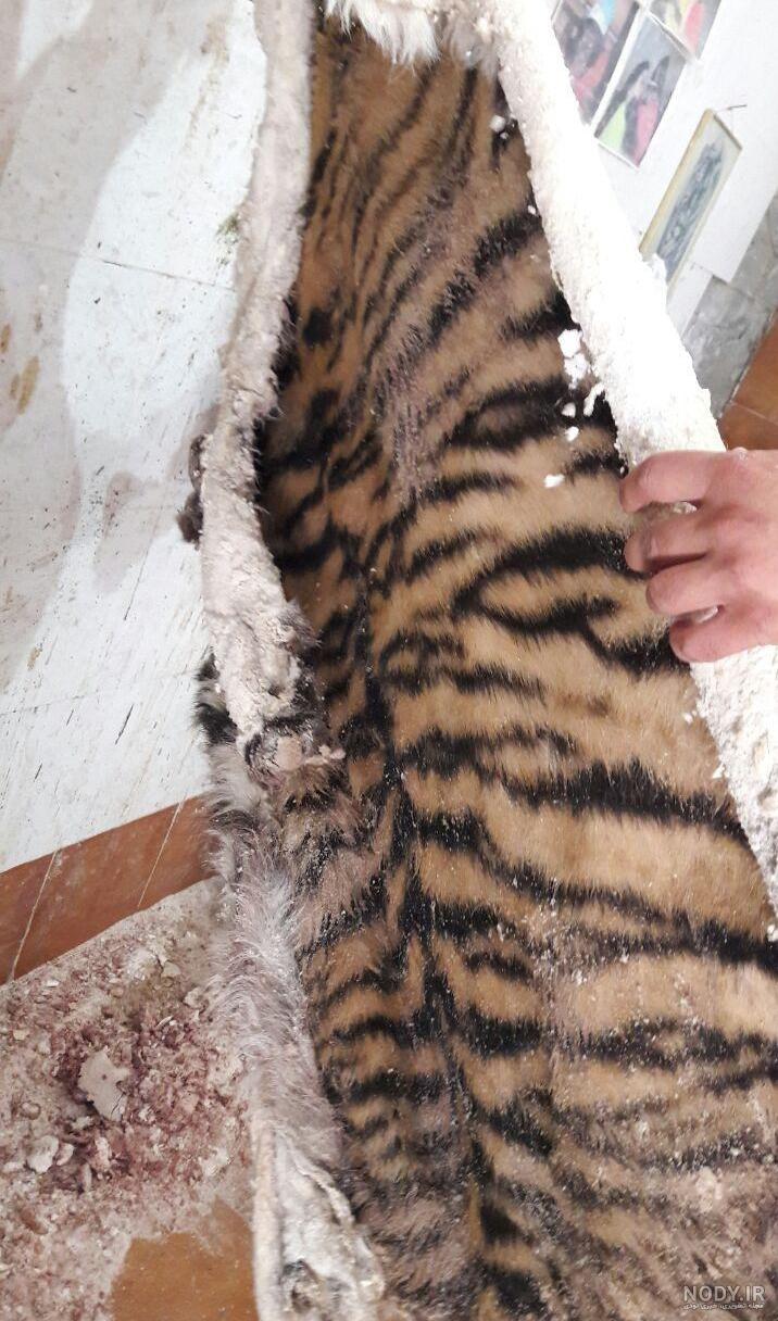 معصومه ابتکار بازجو معصومه ابتکار بازجو