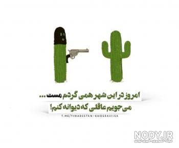 عکس کاکتوس فانتزی برای پروفایل