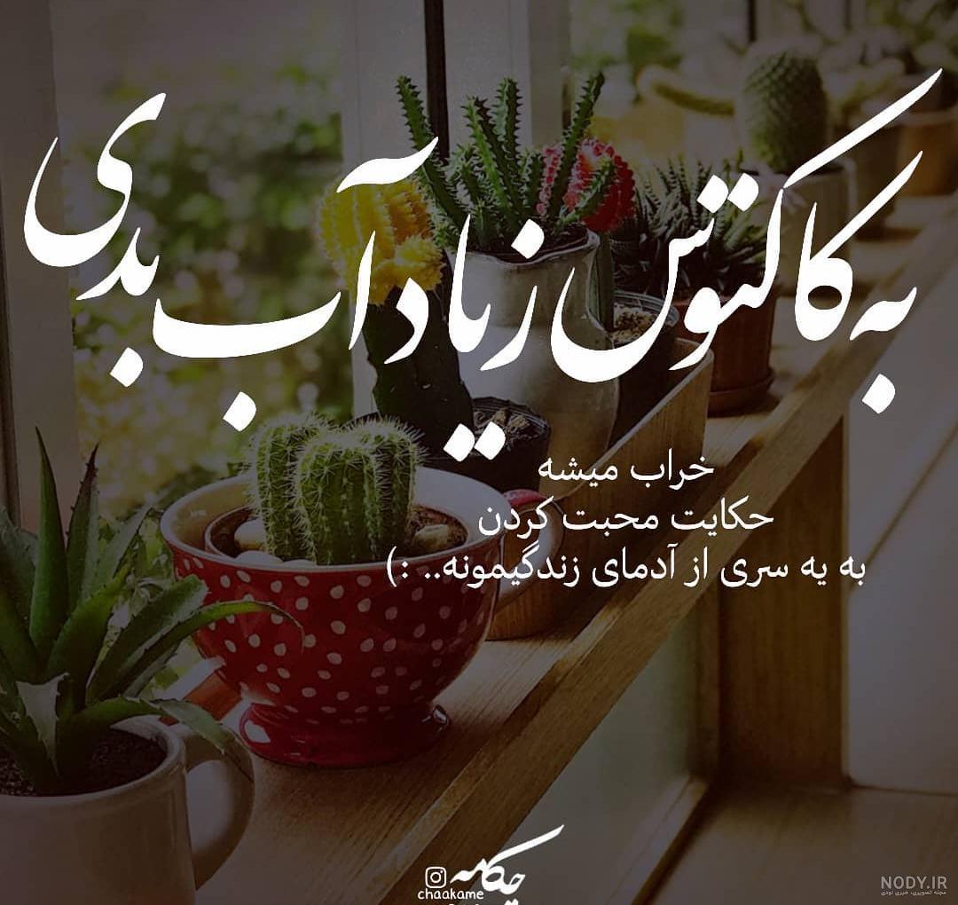 عکس کاکتوس کارتونی برای پروفایل