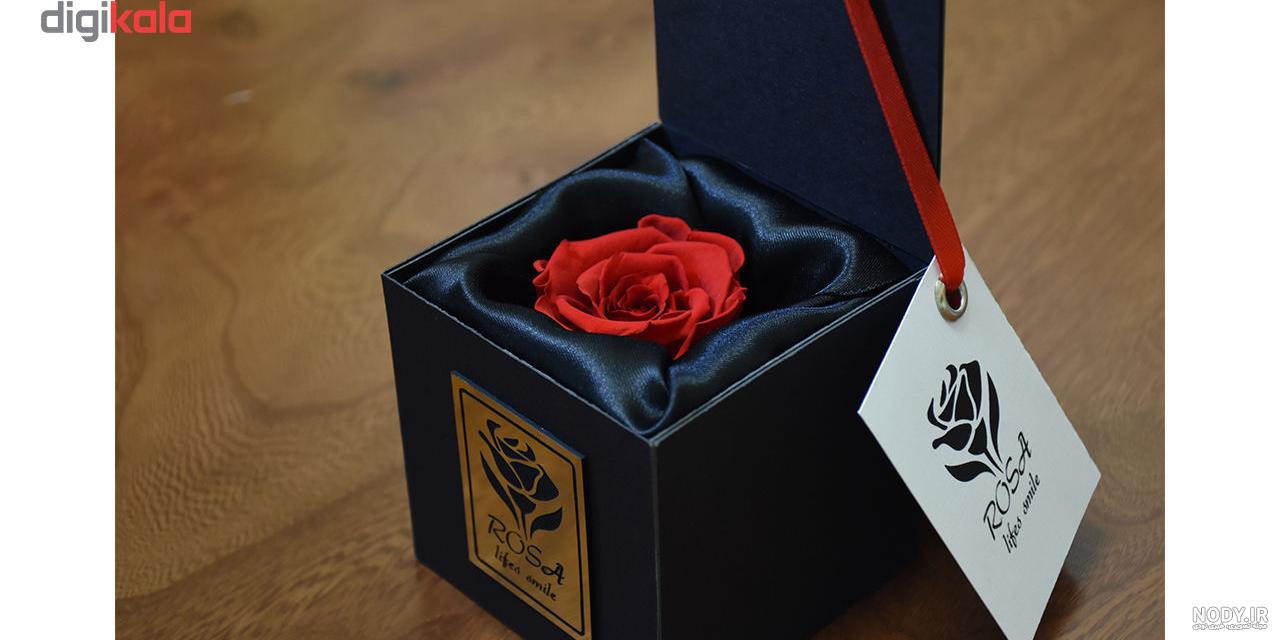 عکس گل رز قرمز و سفید