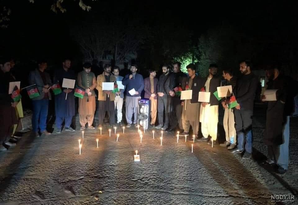 عکس گل رز مشکی با