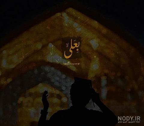 احیا پروفایل