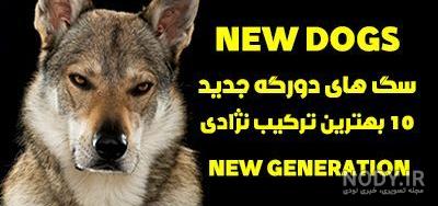 توله سگ سرابی