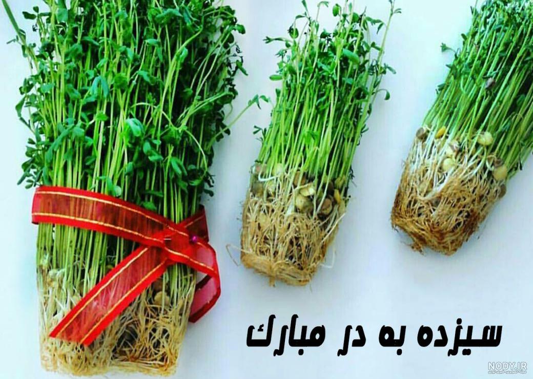 شعر سیزده بدر شهریار شعر سیزده بدر شهریار