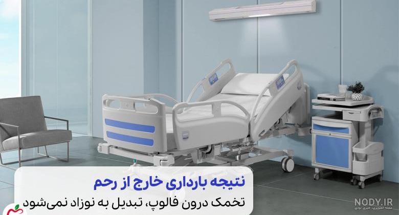 عکس تخمدان دختر عکس تخمدان دختر