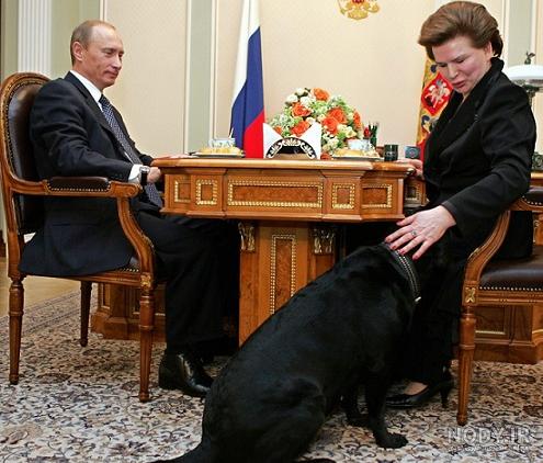 عکس سگهای الابای روسیه