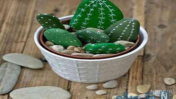 عکس کاکتوس رنگی