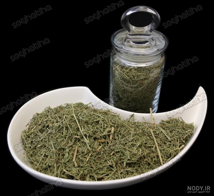اسفناج