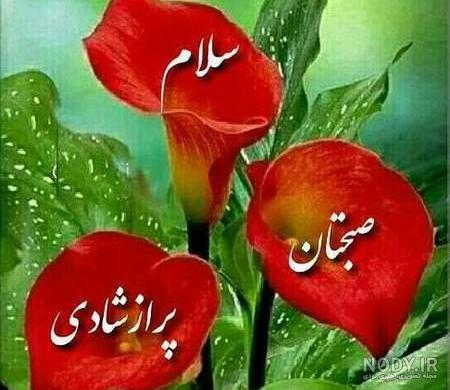 عکس صبح بخیر متحرک عکس صبح بخیر متحرک