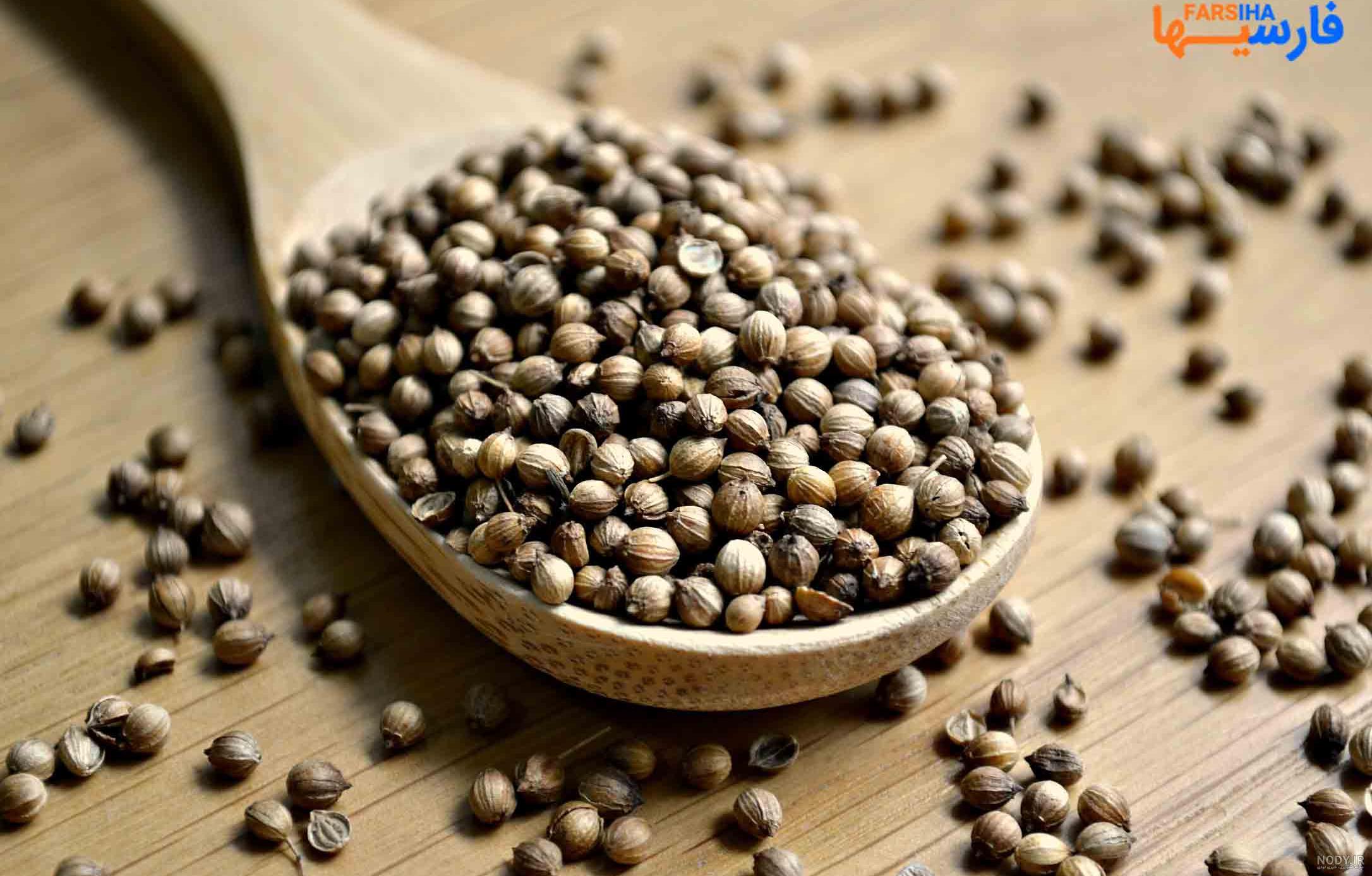 عکس گشنیز