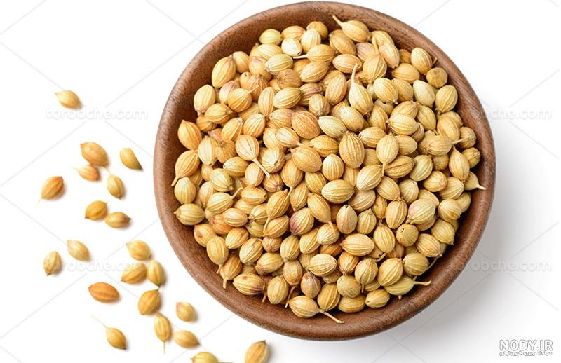 گشنیز در چه غذاهایی استفاده میشود