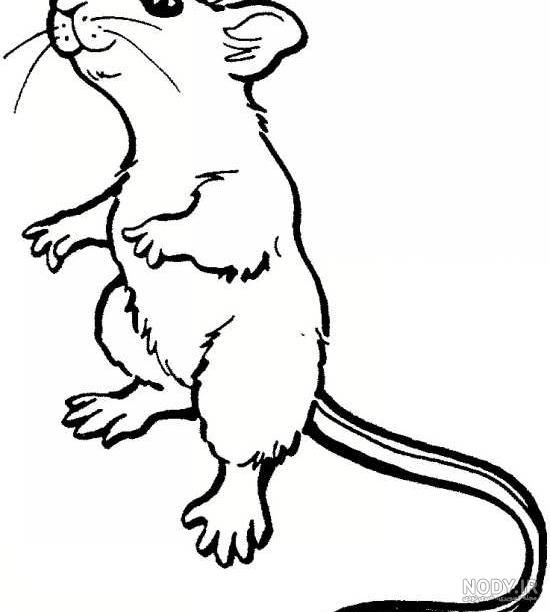 عکس موش کارتونی برای پروفایل