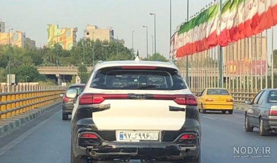 عکس تیگو ها