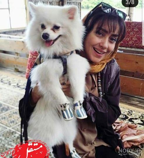 عکس سگ بزرگ خانگی