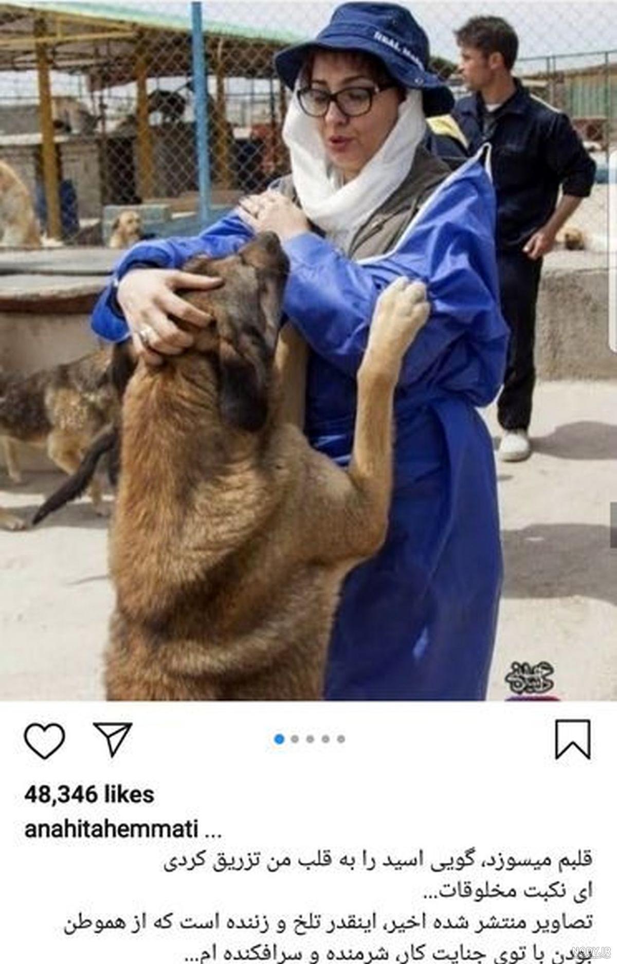 عکس سگ بزرگ سرابی