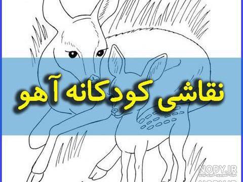 پس زمینه زیبا