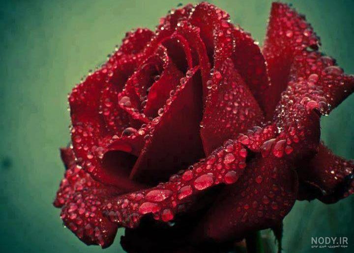 عکس های پروفایل واتساپ پسرانه