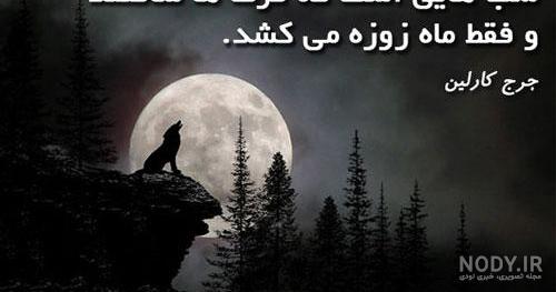 عکس پروفایل پسرانه لاتی گرگ عکس پروفایل پسرانه لاتی گرگ
