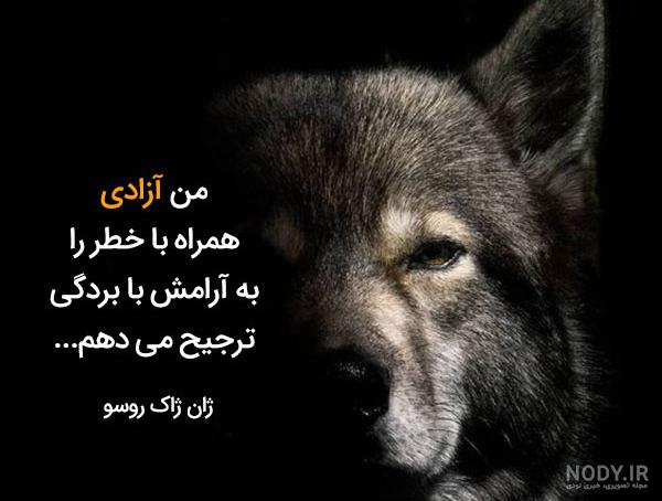 لاتی عکس نوشته لاتی عکس نوشته