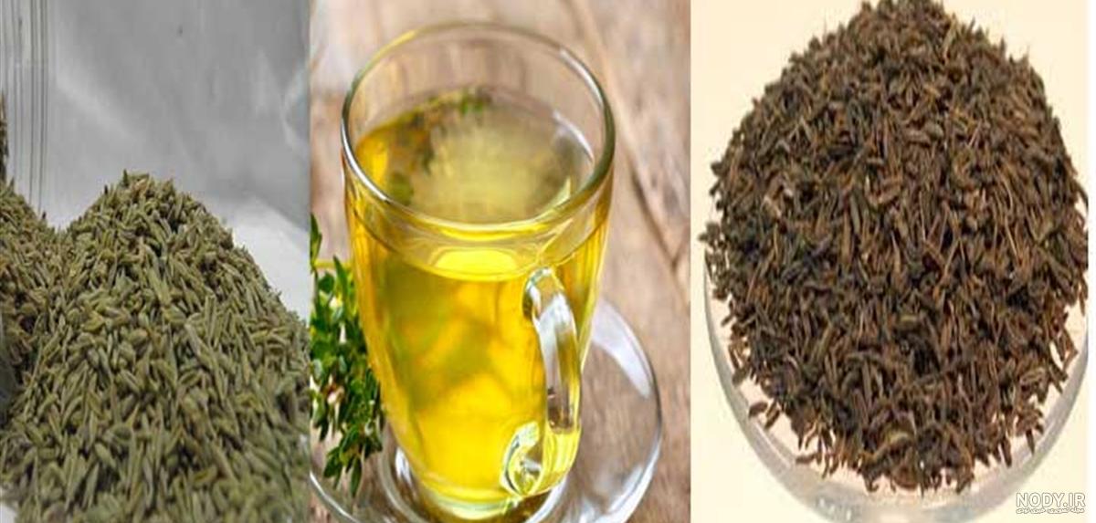 بوته زیره سبز