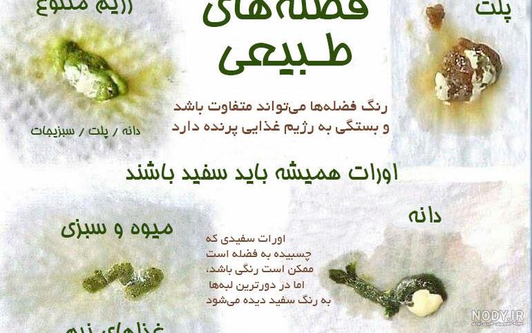 تزیین دستشویی های قدیمی
