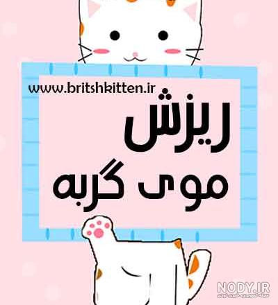 عکس نوشته گربه صفت