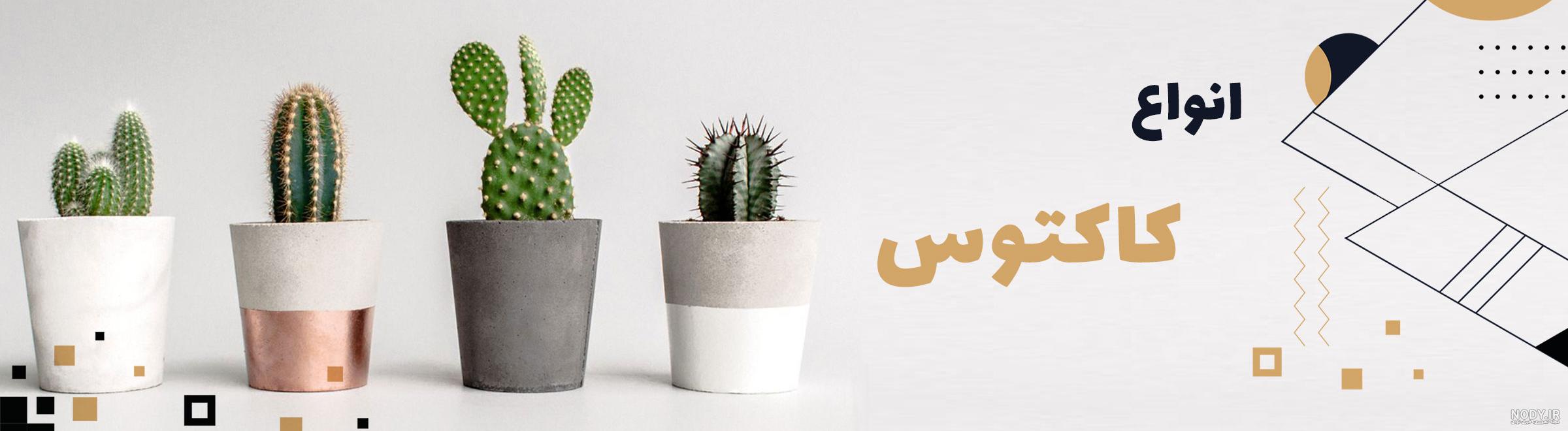 بک گراند بک گراند