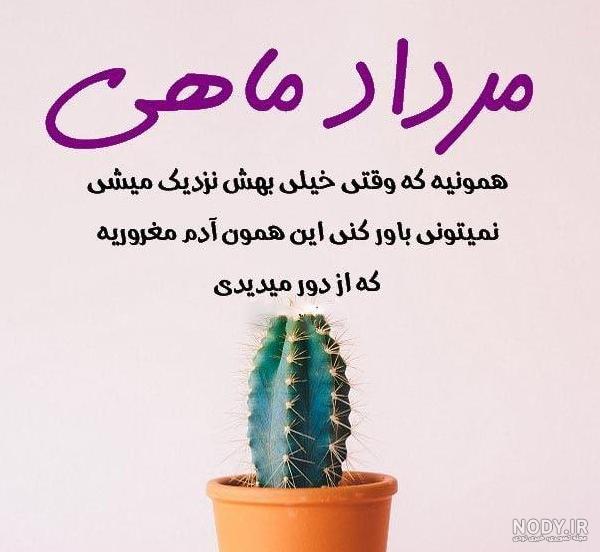 نقاشی کاکتوس بامزه نقاشی کاکتوس بامزه