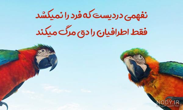 عکس برای پروفایل دخترونه خنده دار