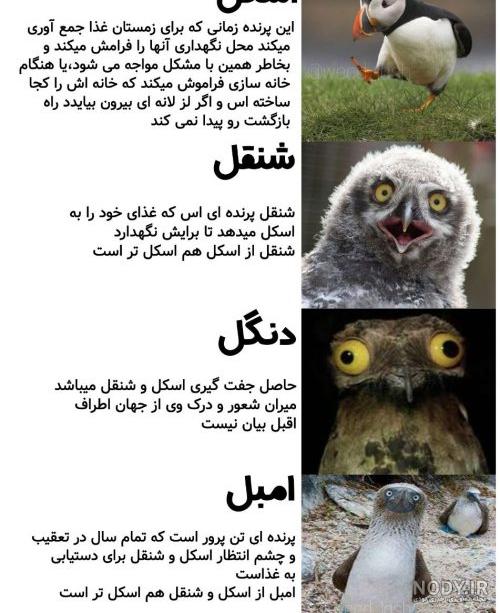 کاردستی جدول ضرب با شکل
