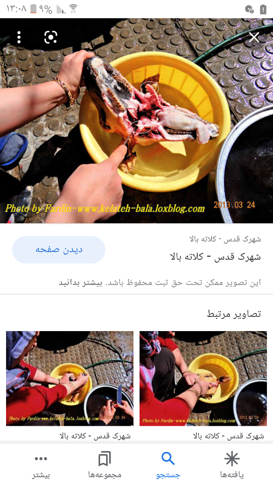 کله پاچه انسان.