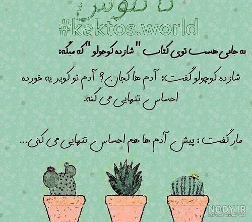 عکس کاکتوس کوچولو عکس کاکتوس کوچولو