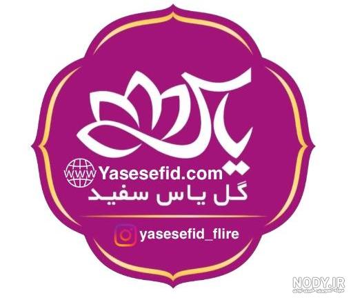 عکس یاس سپید