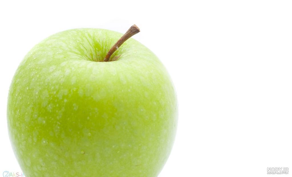 عکس تمام سبزیجات عکس تمام سبزیجات