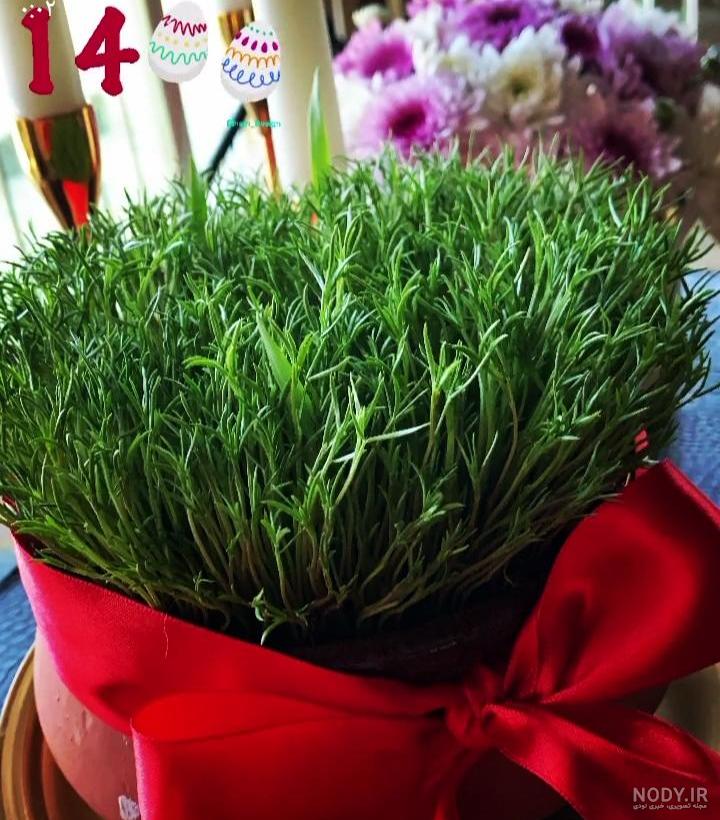 عکس سبزه برای عید نوروز