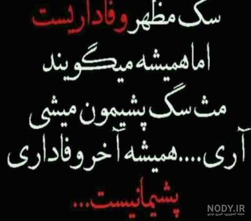 عکس پروفایل تیکه دار برای زن داداش