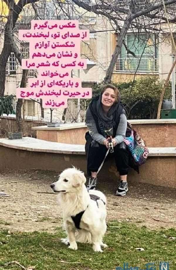 لوگو نگین لوگو نگین
