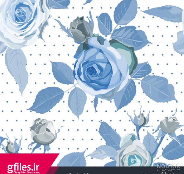 رز هلندی عکس گل رز آبی و قرمز