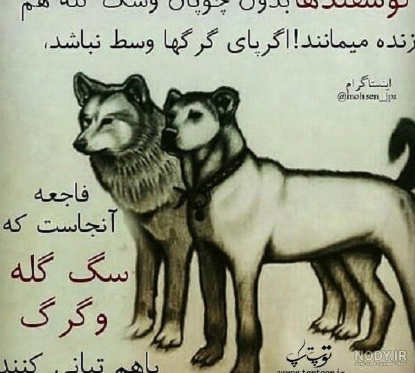 عکس لباس دخترانه لاتی