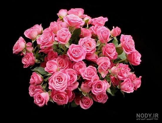 عکس پس زمینه شیک عکس پس زمینه شیک