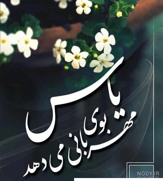 عکس یاس درختی