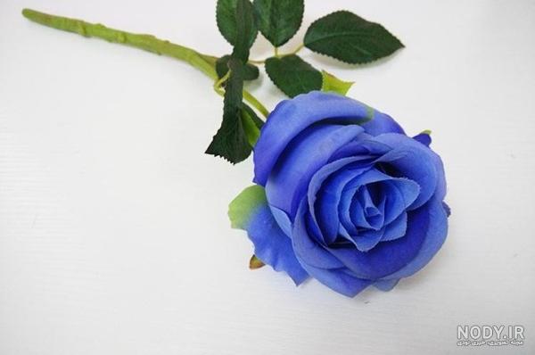 گل رز آبی و بنفش