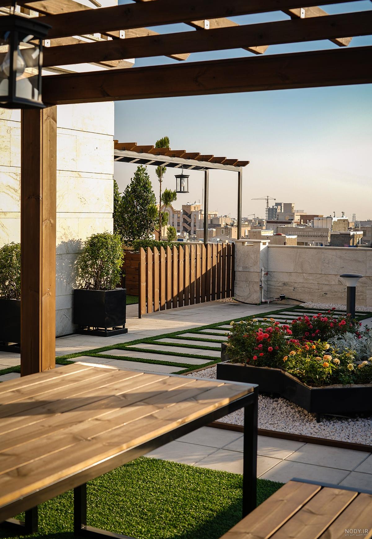 عکس گیاه یاس هلندی